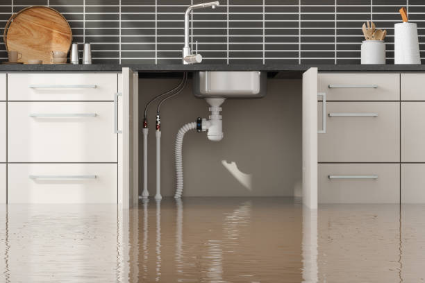 Best Professional water damage repair  in Woodlake, CA