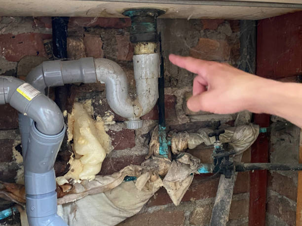 Best Water damage restoration near me  in Woodlake, CA