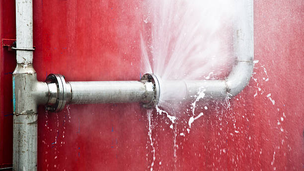 Best Flood restoration services  in Woodlake, CA